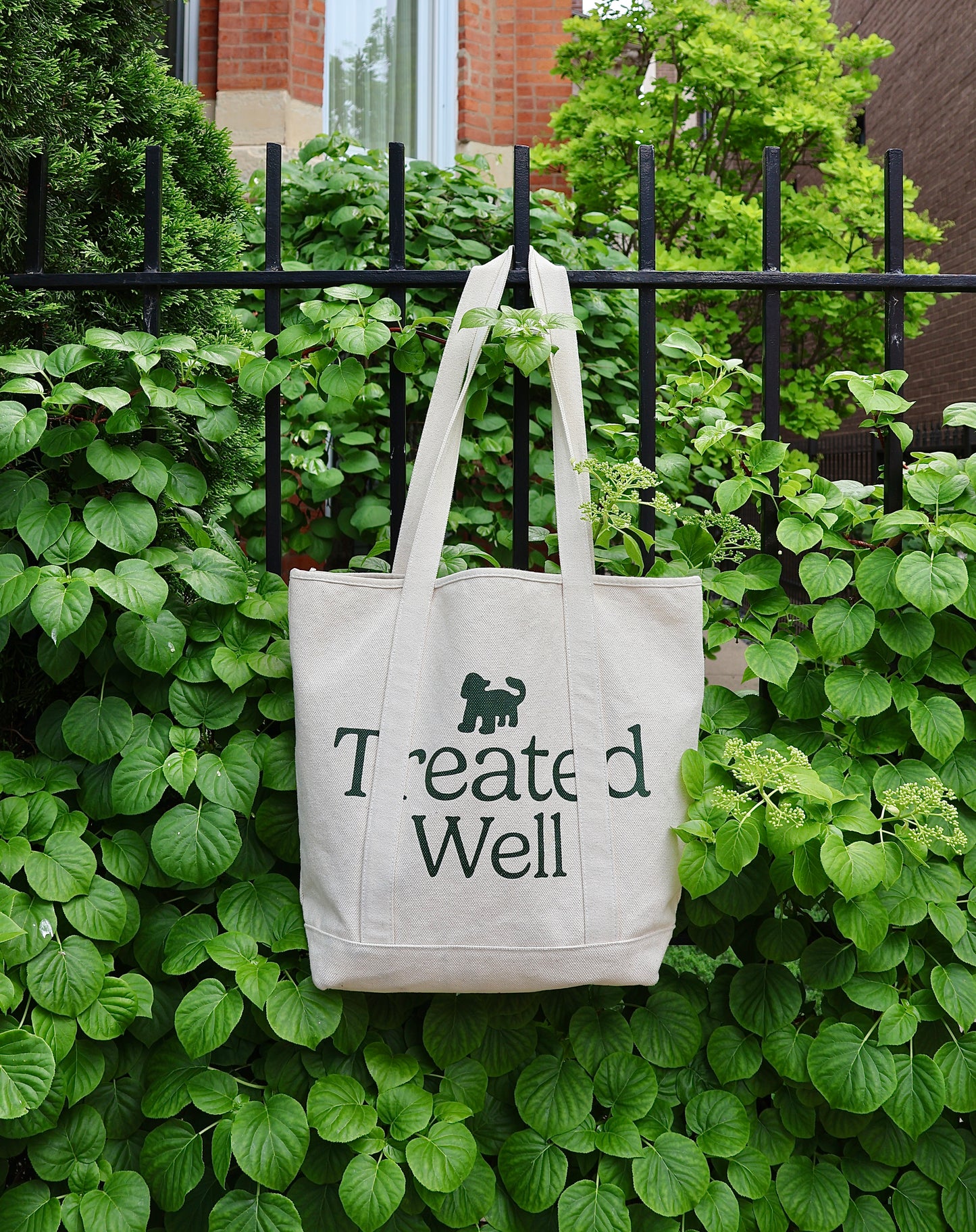 Treated Well Tote