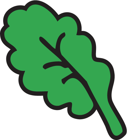 Illustration 6